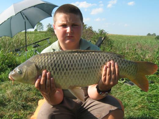 2011 — zdjęcie 47