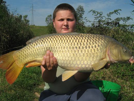 2011 — zdjęcie 48