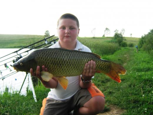 2011 — zdjęcie 49