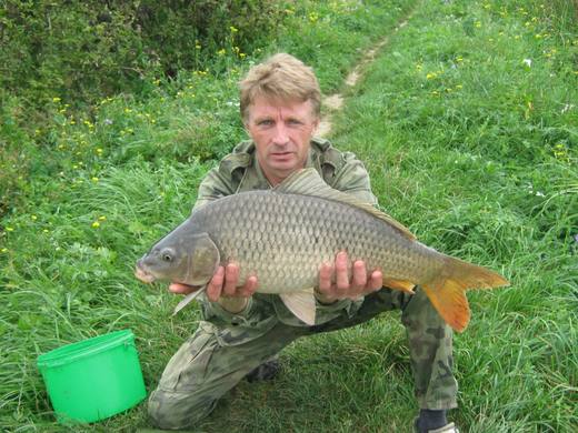 2011 — zdjęcie 50