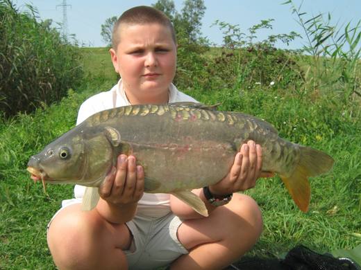 2011 — zdjęcie 52