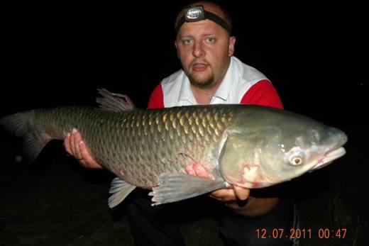 2011 — zdjęcie 54