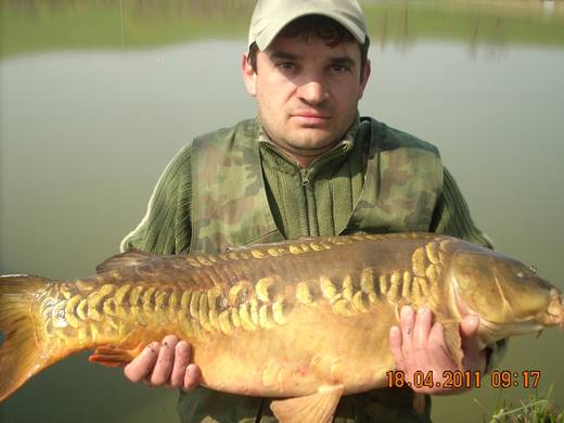 2011 — zdjęcie 56
