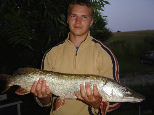 2011 — zdjęcie 58