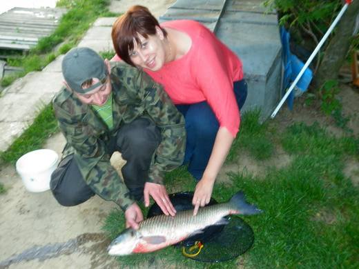 2011 — zdjęcie 61
