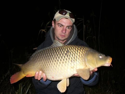 2011 — zdjęcie 62