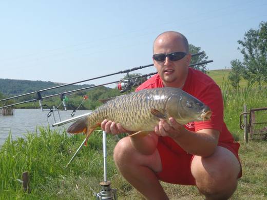 2011 — zdjęcie 63