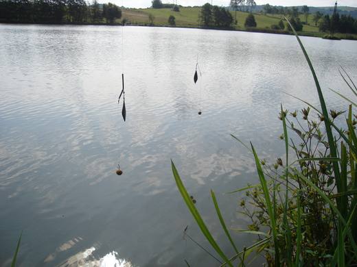 2011 — zdjęcie 68