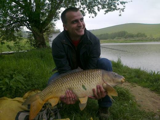 2011 — zdjęcie 74