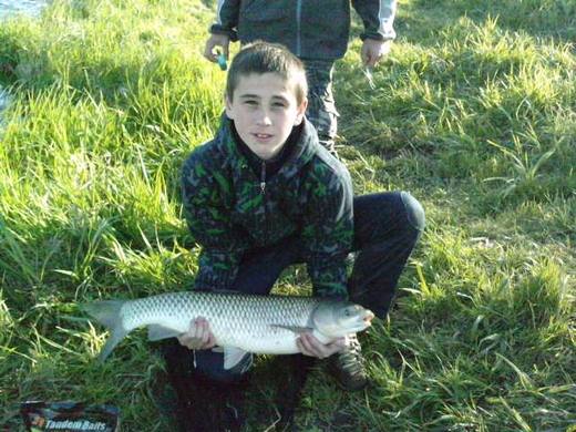2011 — zdjęcie 81
