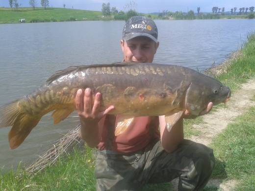 2012 — zdjęcie 8