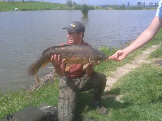 2012 — zdjęcie 9