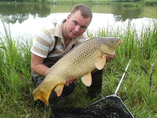 2012 — zdjęcie 18