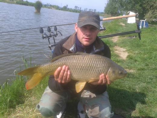 2012 — zdjęcie 22