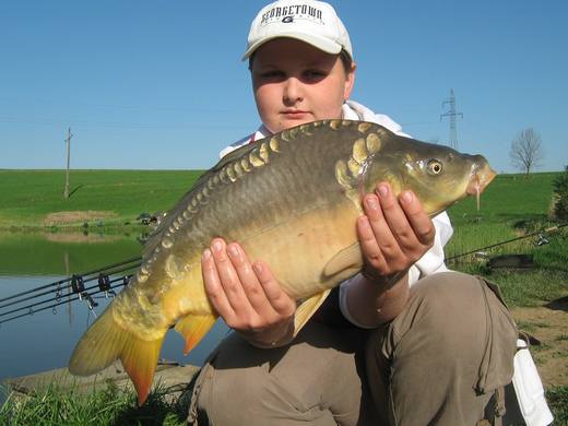 2012 — zdjęcie 45