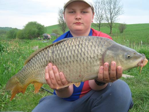 2012 — zdjęcie 53