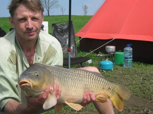 2012 — zdjęcie 55