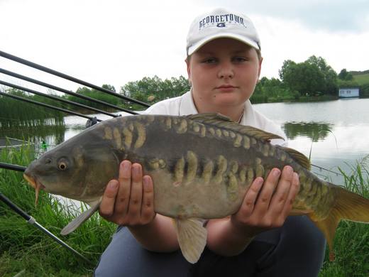 2012 — zdjęcie 60