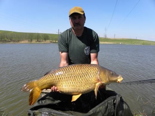 2013 — zdjęcie 5