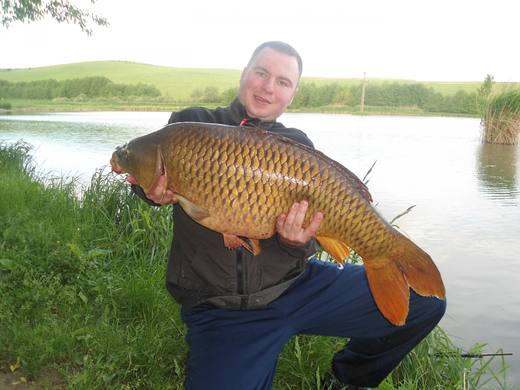 2013 — zdjęcie 6