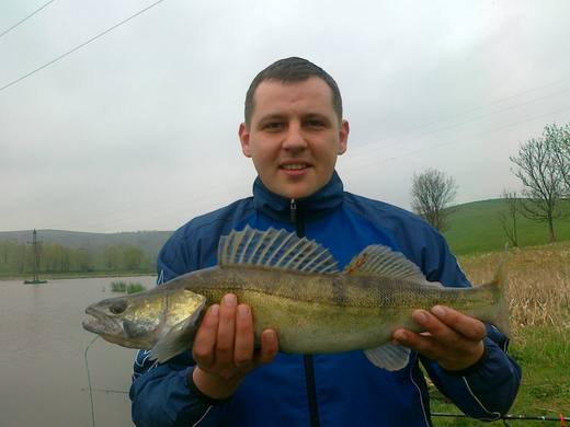 2013 — zdjęcie 10