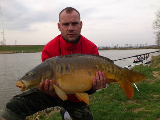2013 — zdjęcie 18