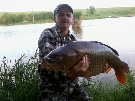 2013 — zdjęcie 23