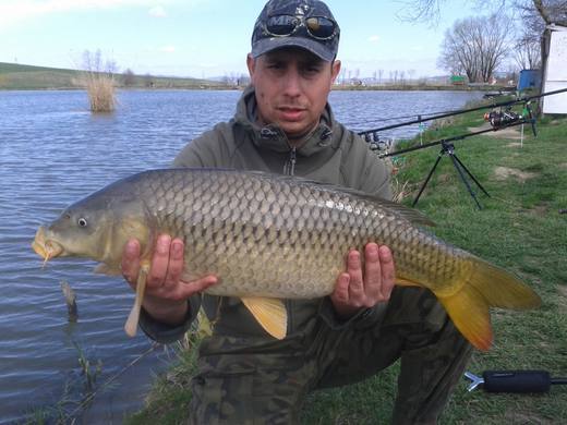 2013 — zdjęcie 26