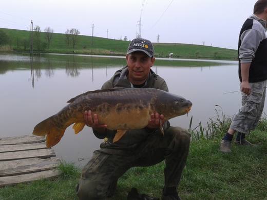 2013 — zdjęcie 29