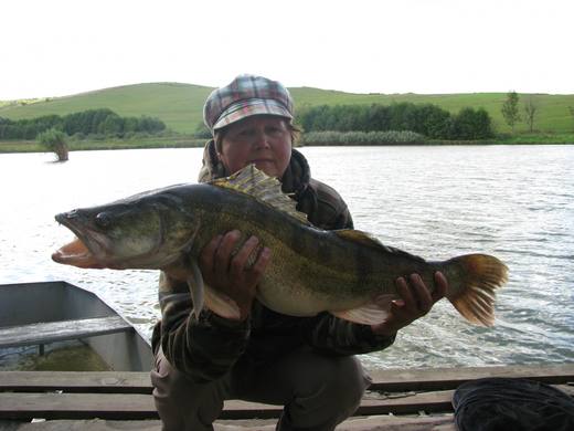 2013 — zdjęcie 34