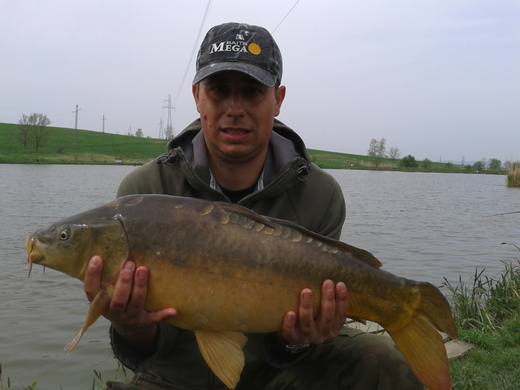 2013 — zdjęcie 39