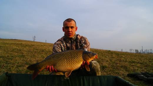 2014 — zdjęcie 12
