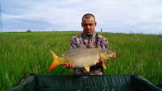 2014 — zdjęcie 13