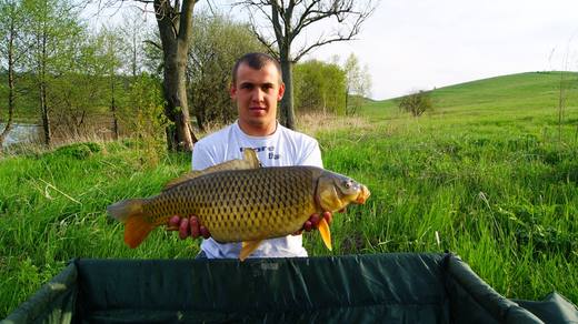 2014 — zdjęcie 14