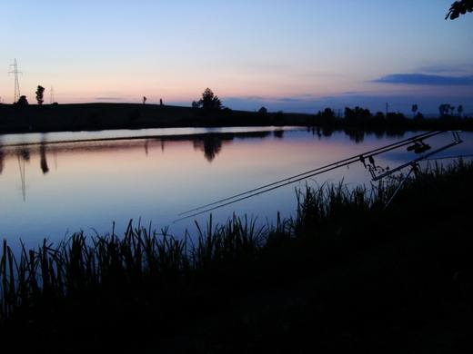 2014 — zdjęcie 21