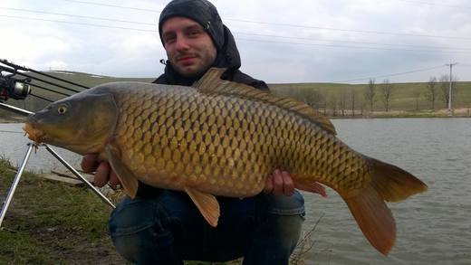2015 — zdjęcie 18