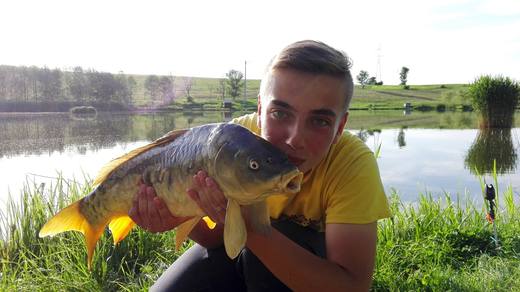 2016 — zdjęcie 6